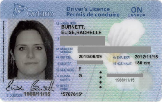 florida drivers license template photoshop
